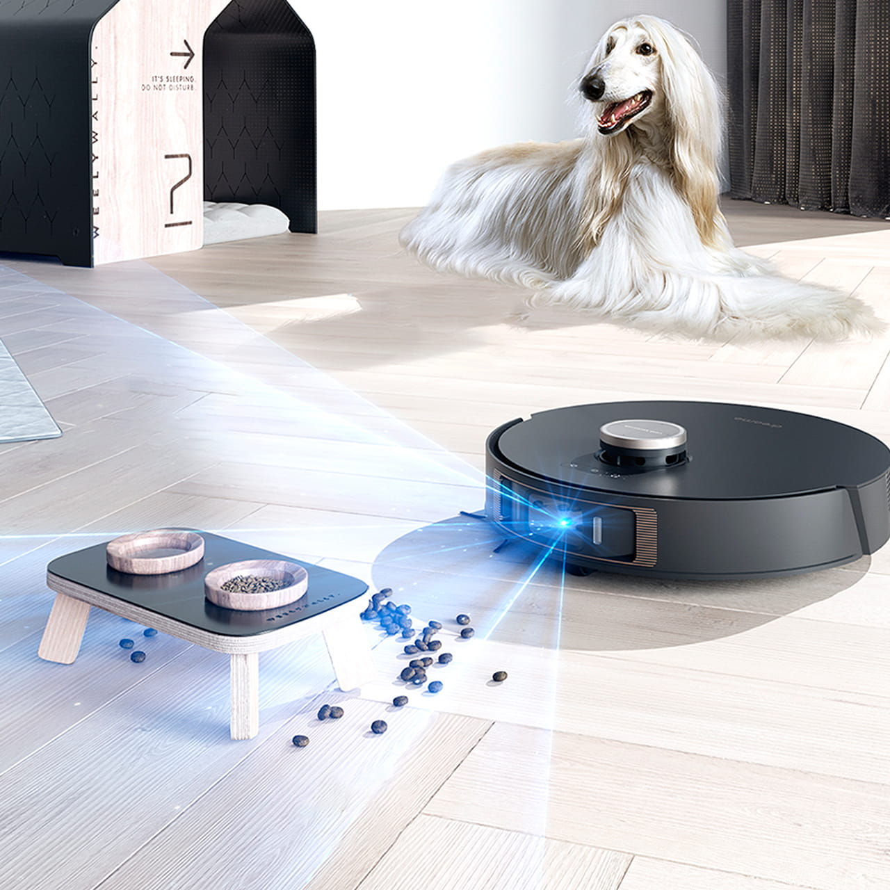 Dreame X20 Pro способен определять места отведённые для домашних животных